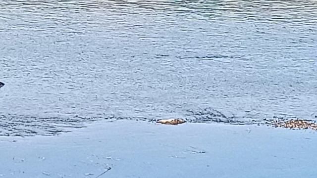 Осень.Гуляем по Набережной.