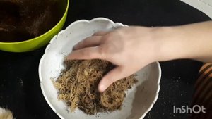 Бонсай Фикус Микрокарпа Гинсенг. Как подготовить безземельный грунт для бонсай!? Как оголить корни!