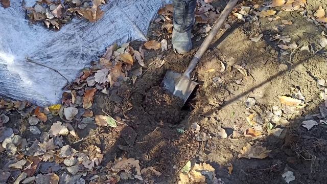 ЗЕМЛЯНКА В ЛЕСУ | ДЕЛАЮ ЗЕМЛЯНУЮ ПЕЧЬ | ДВЕРЬ-ЗАСЛОНКА В ЗЕМЛЯНКУ | 3-Я ЧАСТЬ