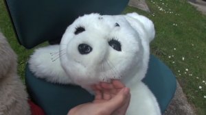 В японских домах престарелых пациентов лечат роботами-тюленями