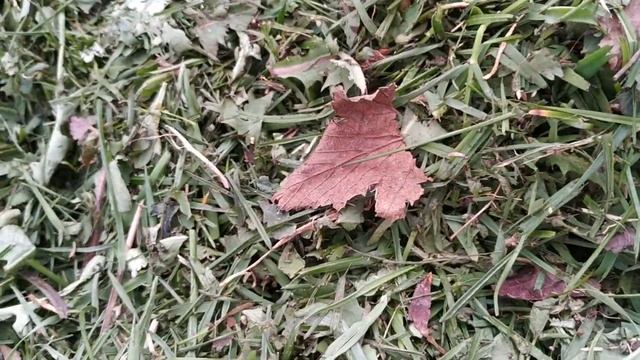 Теплые грядки. Теплица Стрелка. Окончание. Доработка. смотреть онлайн