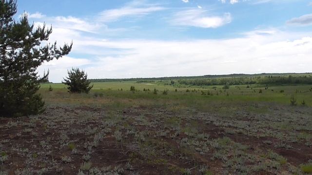Металл как хобби! Двухчасовой коп металла , проверяю новые места...