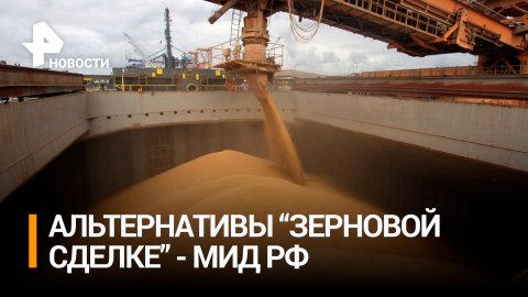 В МИД назвали условие, при котором придется искать альтернативы зерновой сделке / РЕН Новости
