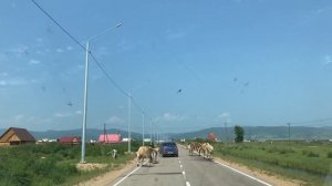 "На восток". Путешествие на Байкал в автодоме. Часть четвертая. Глава третья. Турка. Кяхта.