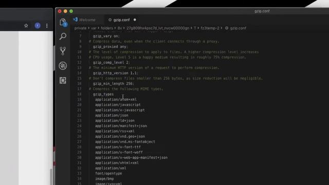 Enable Leverage Browser Cache and Gzip Compression in Nginx Conf смотреть онлайн