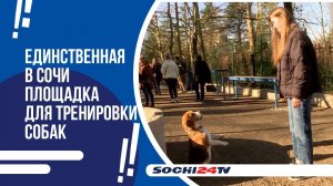 В Сочи на улице Туапсинской торжественно открыли реконструированный сквер