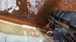 Поймать рыбу во вторую воду #6 Были сборы недолги (1)