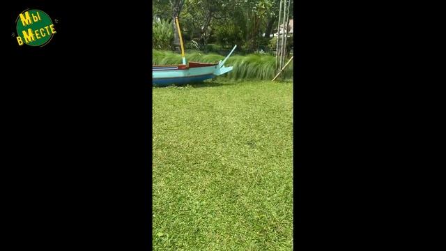 ЛУЧШИЙ СЕМЕЙНЫЙ ПЛЯЖНЫЙ КЛУБ БАЛИ /САНУР /FAMILY BEACH CLUB/ SANUR /BALI/TRAVEL VLOG 2023/ смотреть онлайн