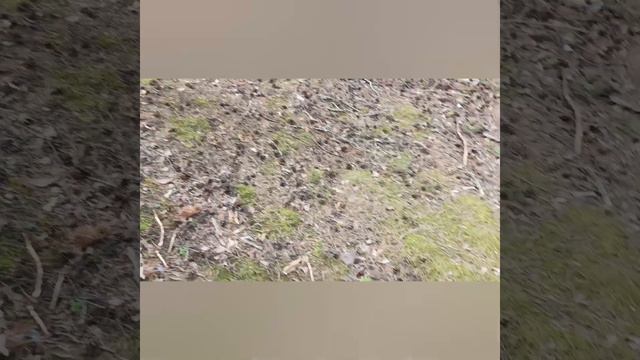 ОН 2 смотреть онлайн