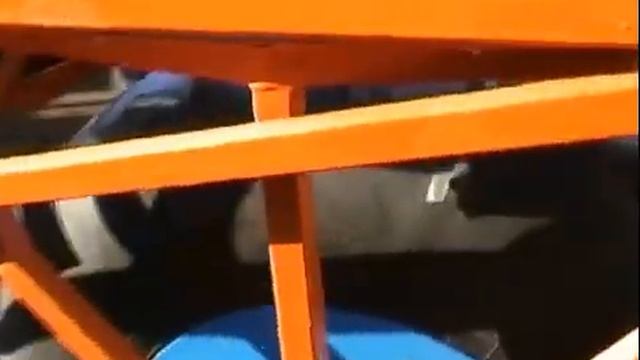 комбайн  для уборки  камыша