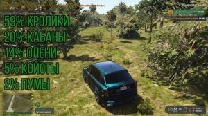 ДОСТИЖЕНИЕ ОСОБЕННОСТИ НАЦИОНАЛЬНОЙ ОХОТЫ GTA 5 RP. Карта животных, вероятность появления  ГТА 5 РП