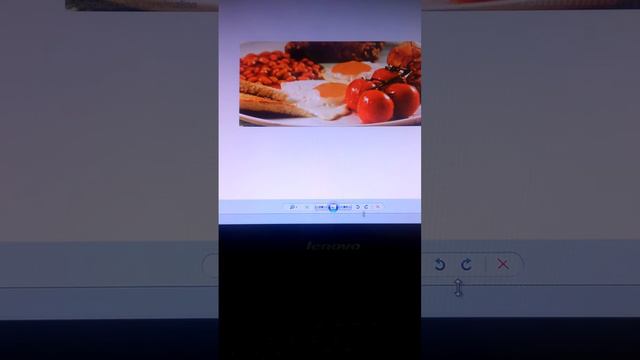 Белковая диета