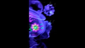 Светящиеся футболки GOOD fluro power - FLOWER BASTARD ( Glow in the Dark & UV black light )