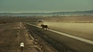 Реклама Hyundai Veloster