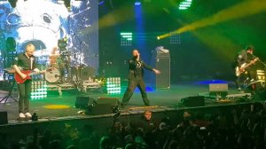 Пилот - Рыба, Крот и Свинья