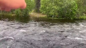 Северная Карелия на внедорожниках. Рыбалка июнь 2022.