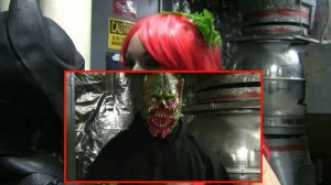 BATMAN vs POISON IVY