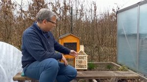 Jak hodować murarkę ogrodową. Murarka ogrodowa I Naturalnie o Ogrodach