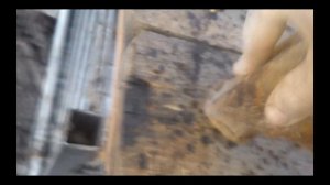 Качественная твердая гранула (комбикорм) для кроликов! Quality hard granule for rabbits!