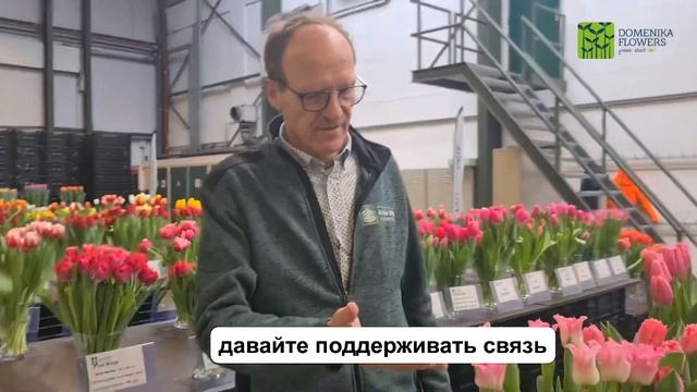 Обзор сортов ТЮЛЬПАНОВ. Привет из Голландии.