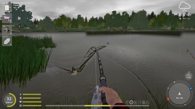 Трофейный карп чешуйчатый на о.Янтарном смотреть онлайн