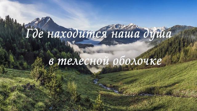 где находится наша душа в телесной оболочке