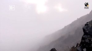 Анонс. Горная охота