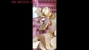 Vacuum Frying Crisp Apple Chips Production Line