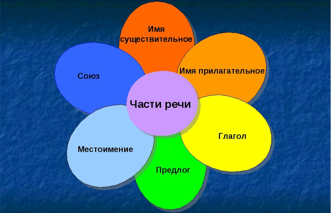 Презентация все части речи