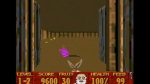 Super 3D Noahs Ark (SNES)