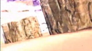 История возникновения митохондрий