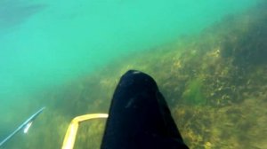 ловля краба руками 4к