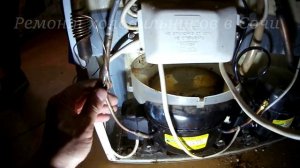 Холодильник Hotpoint Ariston RMBA2185.L.019, морозильная камера не работает . Диагностика.
