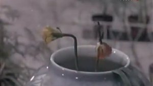 РИНА ЗЕЛЕНАЯ В ФИТИЛЕ "ЯГОДКИ"