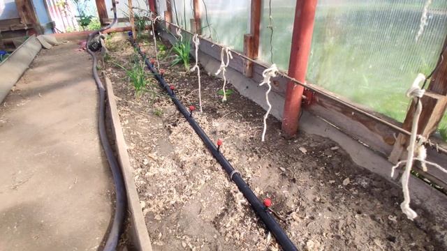 Вечный капельный полив своими руками. Сделай себе сам?⚒️ смотреть онлайн