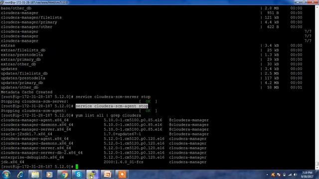 Cloudera Manager upgrade смотреть онлайн