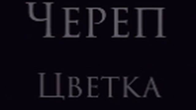 Великий новгород телеграм