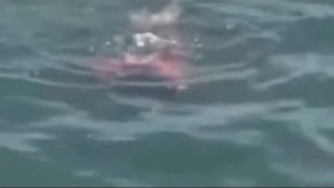 4 русалки снятые на камеру я не шучу ?