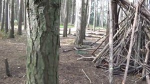 Дети строят дом в лесу.