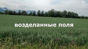 Уймонская долина