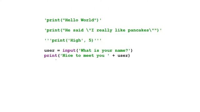 The 'Print Function' in Python