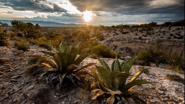 35. Долина Теуакан-Куйкатлан. Мексика смотреть онлайн