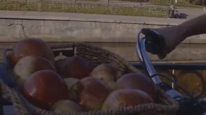 Алма-Ата город детства, город мечта! (песня про Алмату)