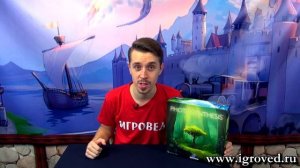 Фотосинтез (Photosynthesis). Обзор настольной игры от Игроведа.