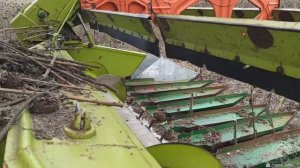 Убираем подсолнух. claas dominator 58s