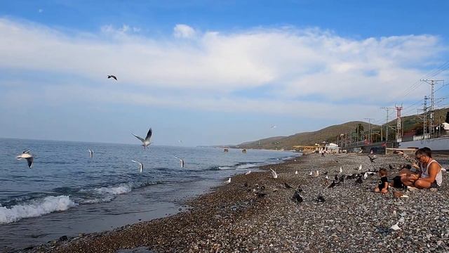 ЛАЗАРЕВСКОЕ СЕГОДНЯ ?СОЧИ. Пляж "Морская  звезда"
