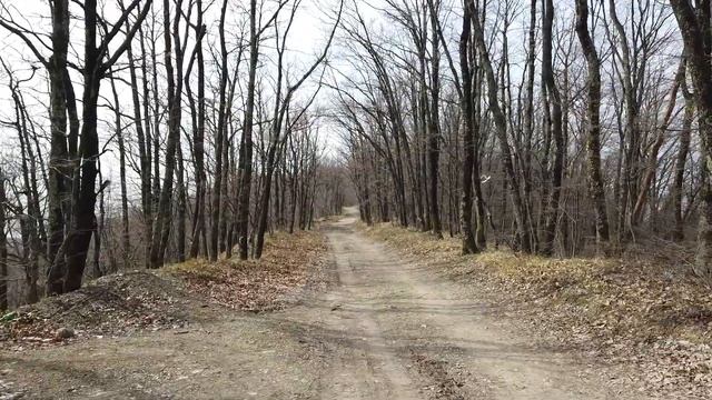 Лесопарк Варваринка в Туапсе