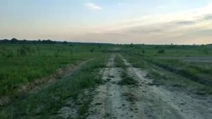 Аргуновские дачи