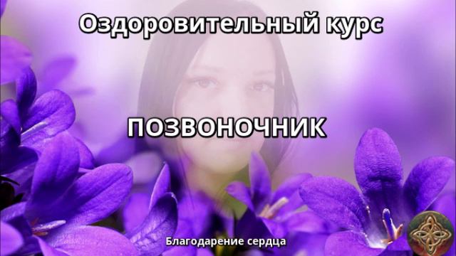 ОЗДОРОВИТЕЛЬНЫЙ КУРС: ПОЗВОНОЧНИК