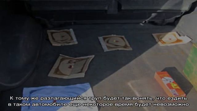 Как бороться с мышами в машине? смотреть онлайн